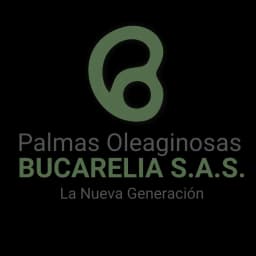 Logo de Palmas Oleaginosas Bucarelia