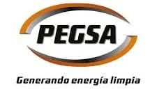 Logo de PEGSA